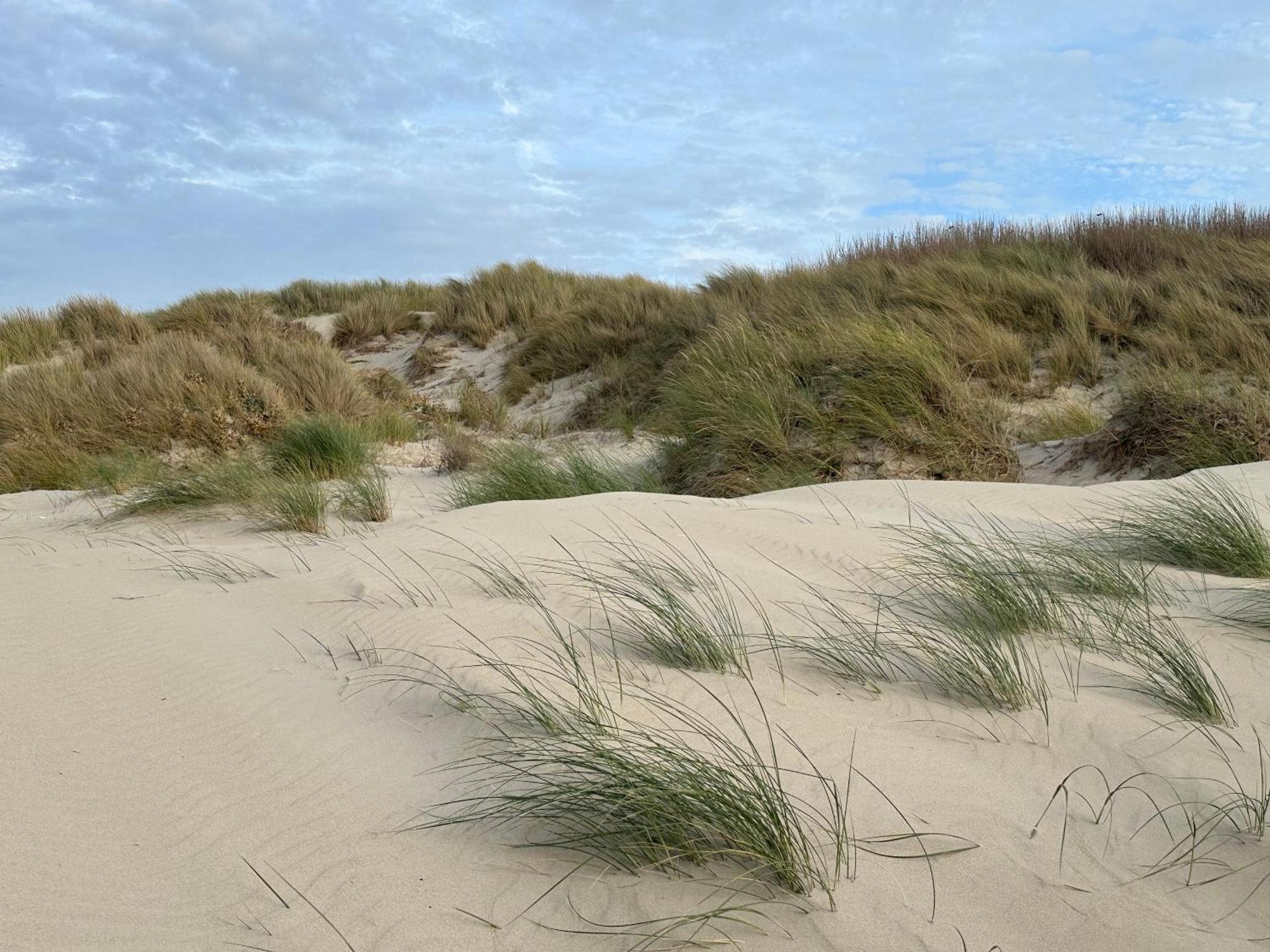 Bleu Blanc Dunes 10 Mn Berck Le Touquet Appartamento